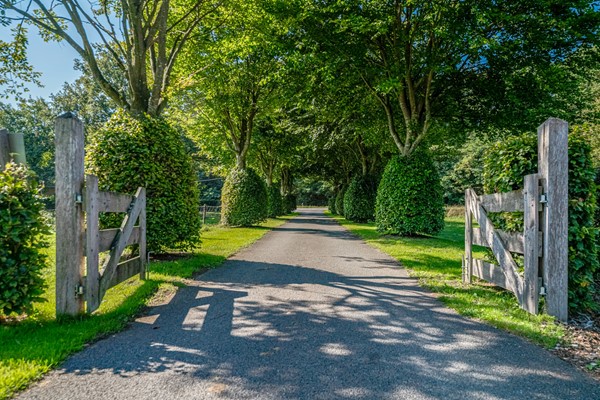 Medium property photo - Zevenaarer Straße 200, 46446 Emmerich am Rhein